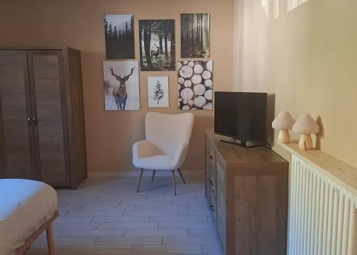 Aglichalet Erbe Montane-Vasca Idromassaggio Privata Condivisa Tra I Due Chalet, Con Parcheggio Privato E Colonnina Ricarica Auto Elettrica Con Supplemento Ferienhaus Domodossola